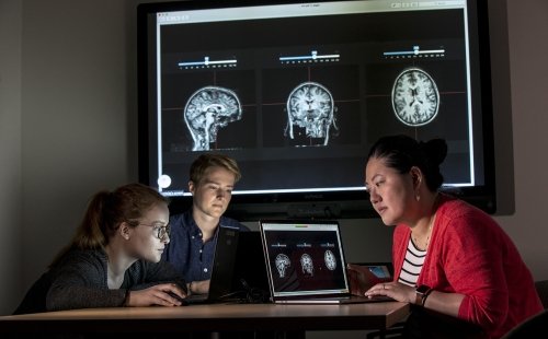 Three researchers at the Marcus Institute for Aging Research in Boston, MA examine images of a brain scan.